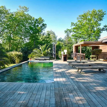 La Cierba Avec Piscine Et Jacuzzi * Angresse