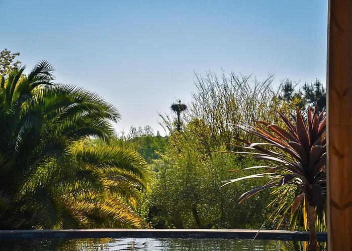 La Cierba Avec Piscine Et Jacuzzi Villa *