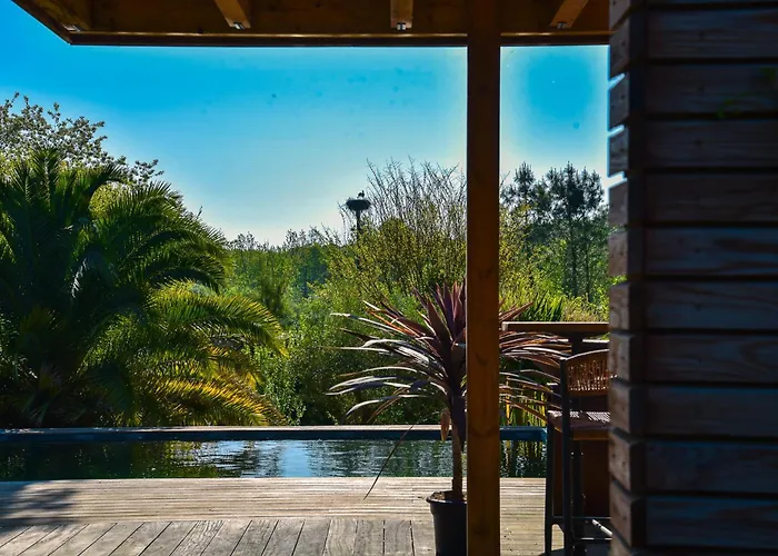 La Cierba Avec Piscine Et Jacuzzi Angresse